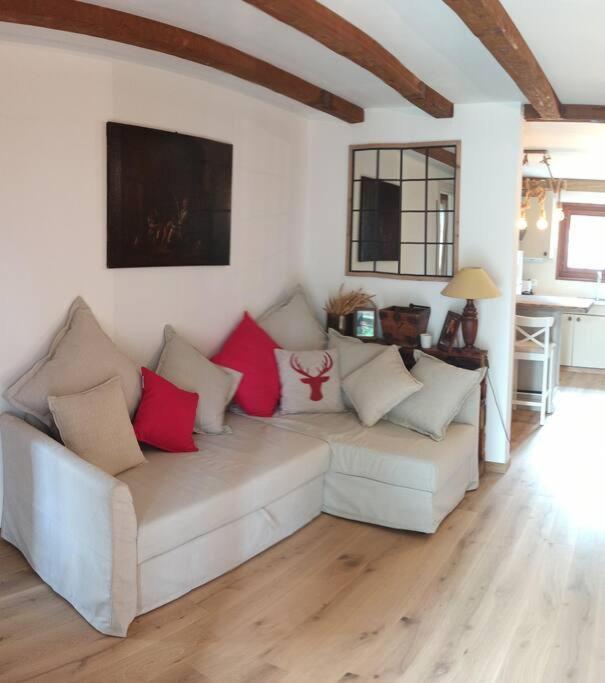 Cozy Apartment In The Heart Of The Alps Chateau-d'Oex Eksteriør bilde