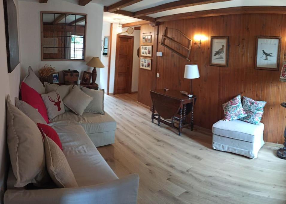 Cozy Apartment In The Heart Of The Alps Chateau-d'Oex Eksteriør bilde