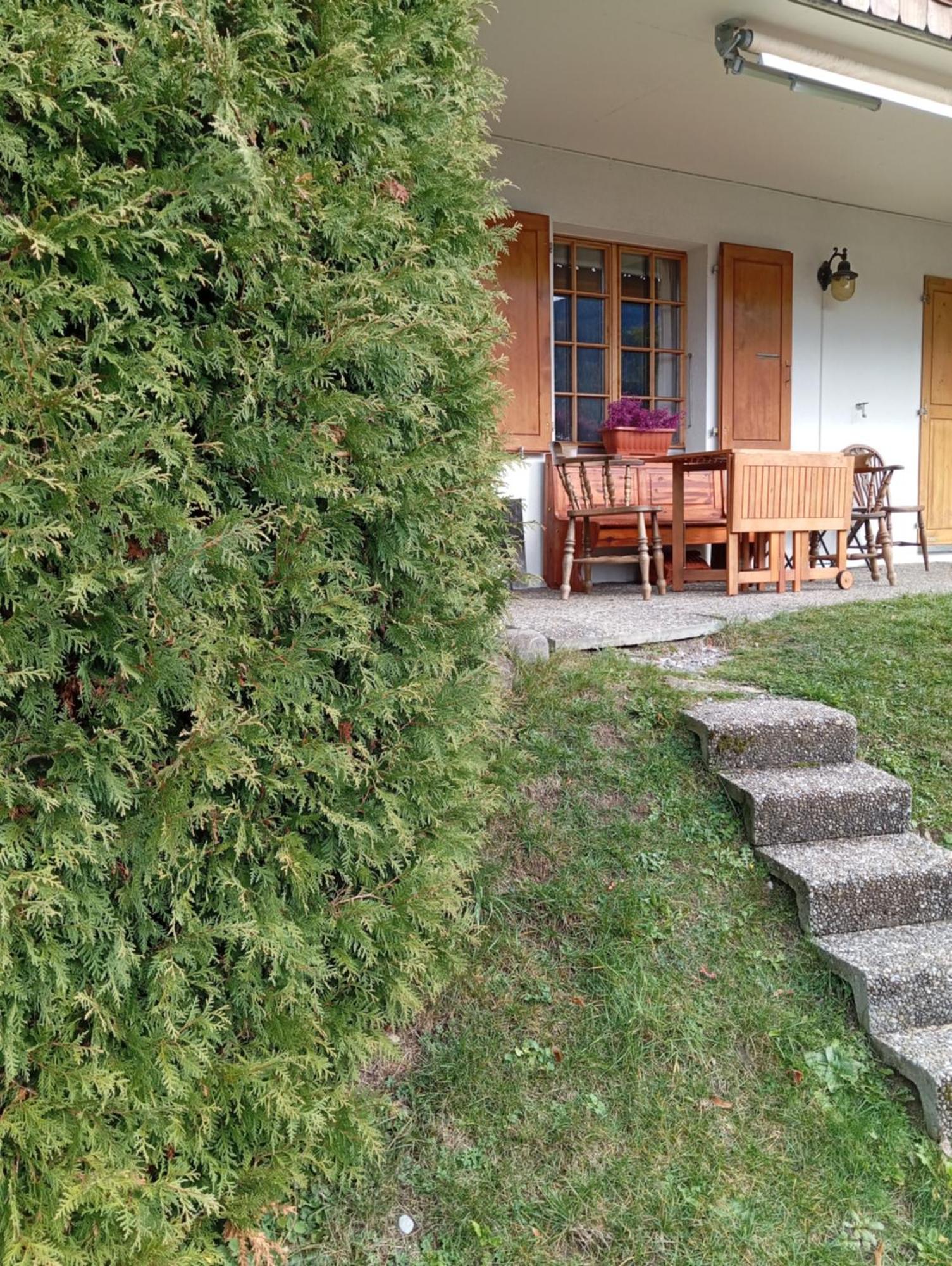 Cozy Apartment In The Heart Of The Alps Chateau-d'Oex Eksteriør bilde