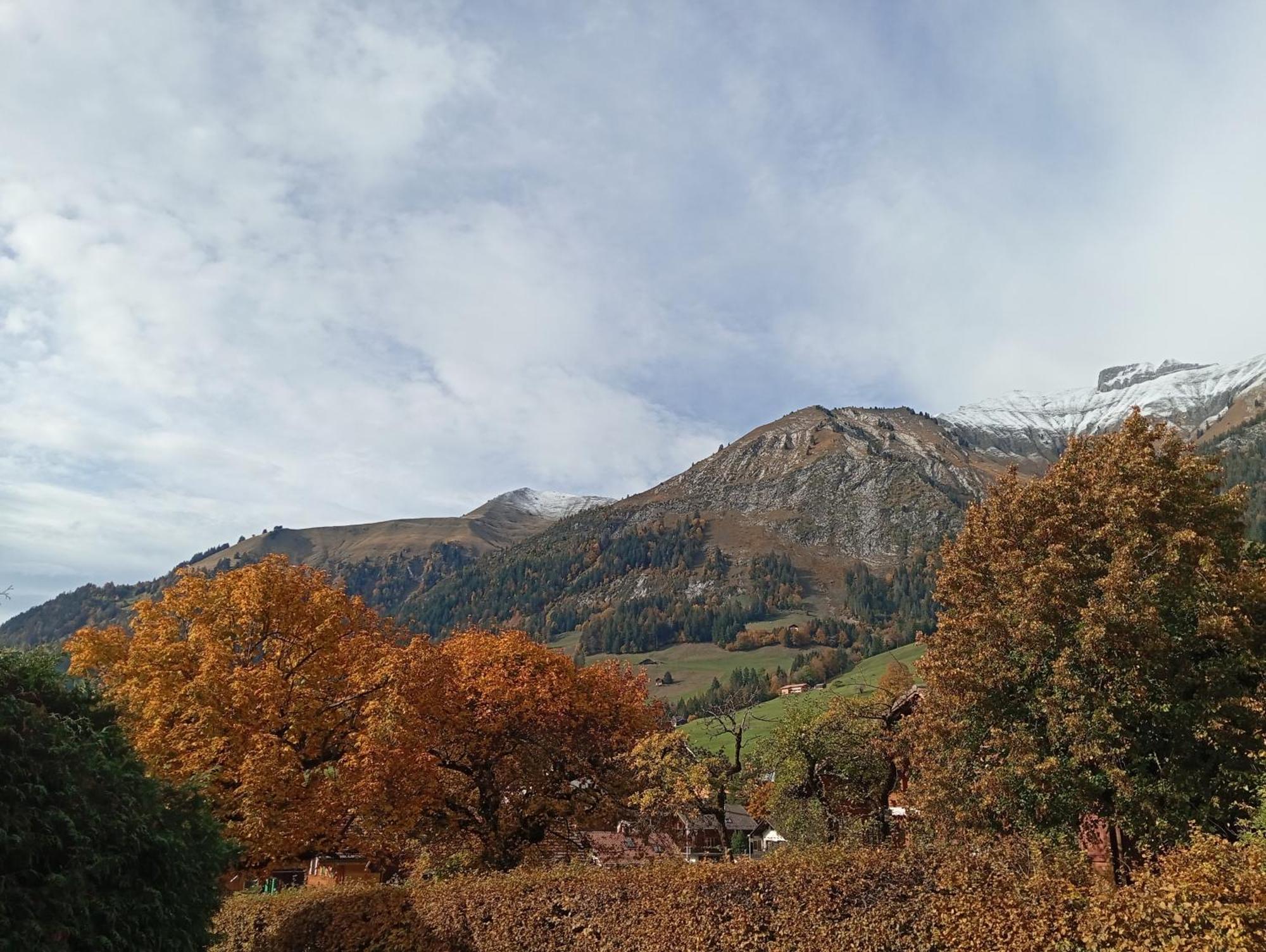 Cozy Apartment In The Heart Of The Alps Chateau-d'Oex Rom bilde